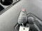 2013 RAM 1500 2WD Crew Cab 5.7 Ft Box Sport