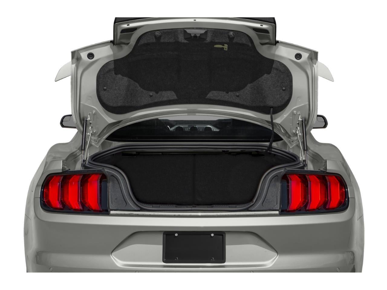 2019 Ford Mustang GT Fastback