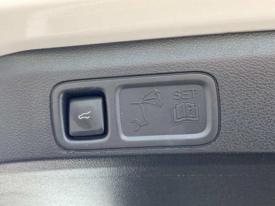 2024 Ford Expedition Max XLT 4x4