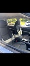 2017 Nissan Pathfinder FWD S