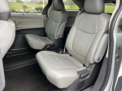 2023 Toyota Sienna XLE FWD 8-Passenger (Natl)