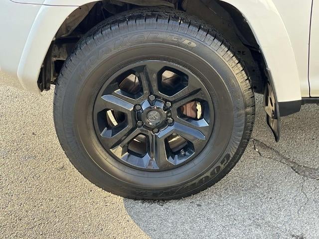 2015 Toyota 4Runner RWD 4dr V6 SR5 (Natl)
